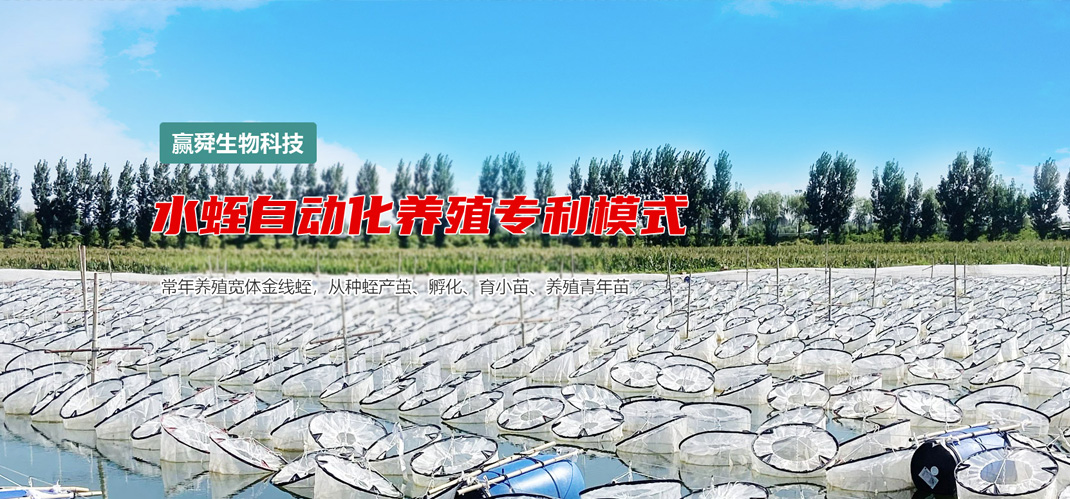mini-banner1 钱柜qg777