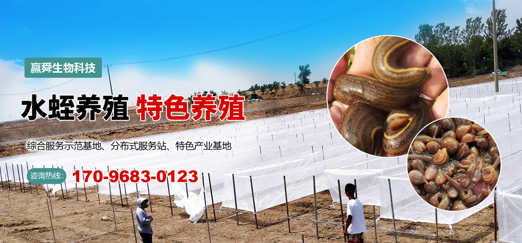 mini-banner2 钱柜qg777
