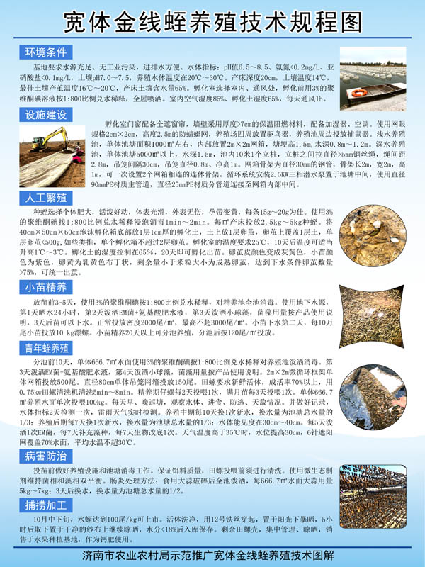 资质声誉