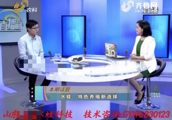 资质声誉