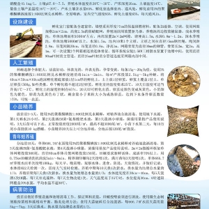 资质声誉