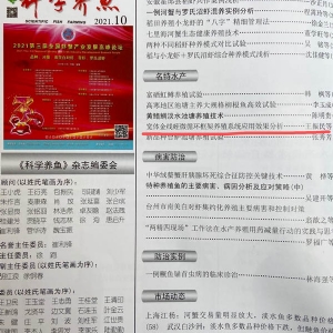 资质声誉