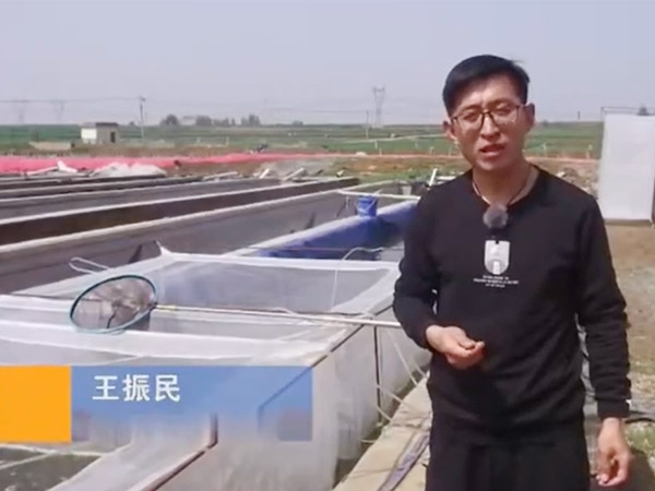 种蛭的选择