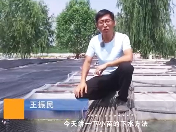 钱柜qg777小苗的下水要领