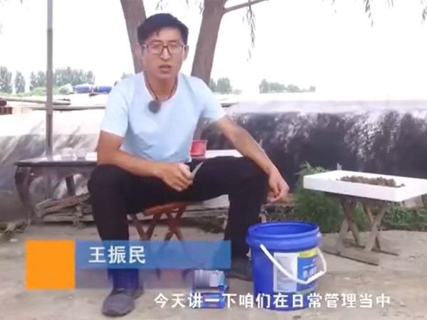 钱柜qg777养殖日常需检测的水体指标