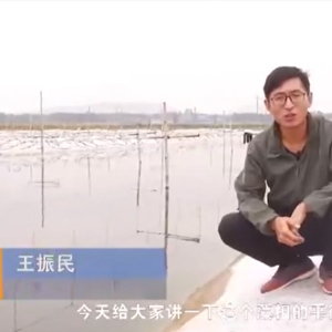 水体藻相平衡
