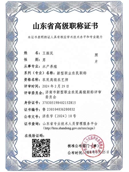 山东省高级职称证书